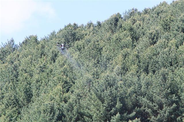 臨江林業局：無人機噴藥防蟲大顯身手(圖1)