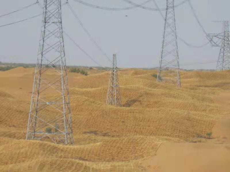 無人機傾斜攝影技術助力寧夏沙害防治(圖2)