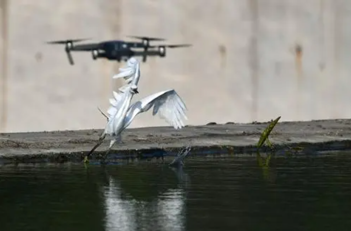 重點關(guān)注 2022年即將實施的無人機(jī)新規(guī)(圖5) 重點關(guān)注 2022年即將實施的無人機(jī)新規(guī)(圖5)