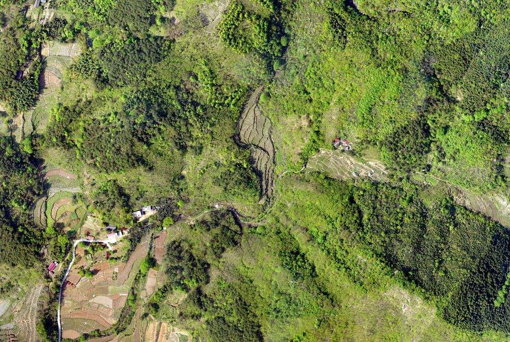 無人機技術在現代林業工作方面的應用(圖2) 無人機技術在現代林業工作方面的應用(圖2)