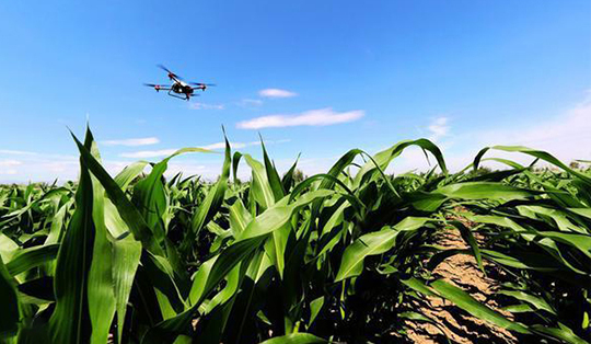 無人機技術(shù)在現(xiàn)代農(nóng)業(yè)領(lǐng)域的應(yīng)用與發(fā)展(圖5)