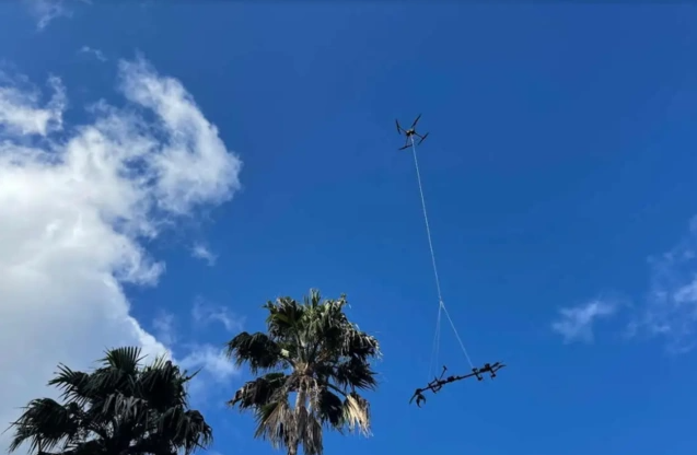 加拿大初創公司Outreach Robotics通過無人機創新保護瀕危植物(圖1)