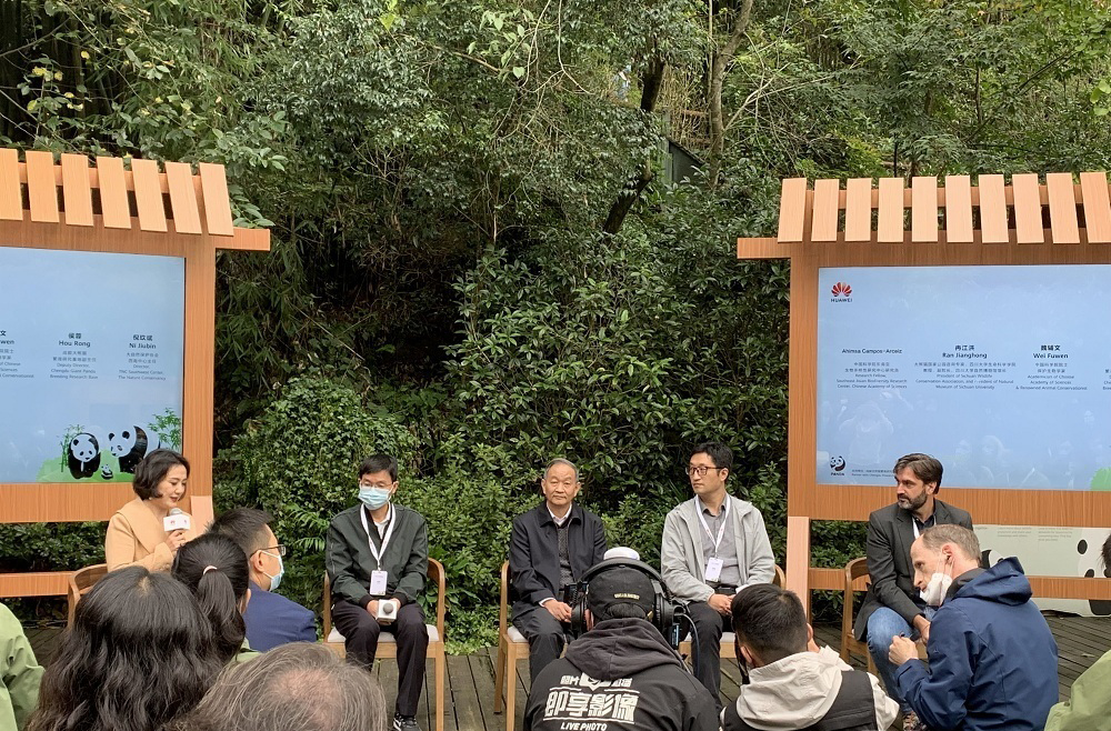 人工智能、無人機等助力生物多樣性保護受關注(圖1)