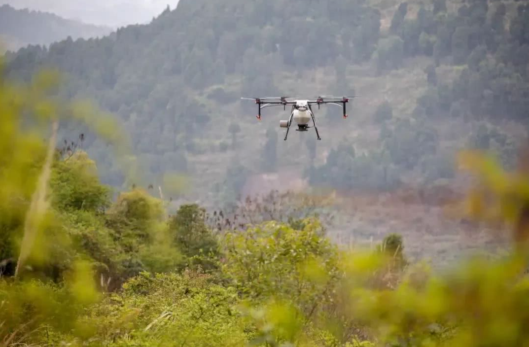 克羅地亞通過無人機播種修復(fù)被大火破壞的森林(圖1)